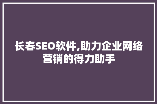 长春SEO软件,助力企业网络营销的得力助手