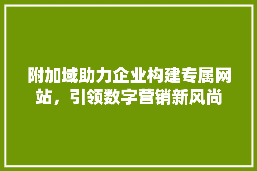 附加域助力企业构建专属网站，引领数字营销新风尚