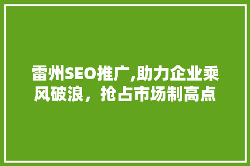 雷州SEO推广,助力企业乘风破浪，抢占市场制高点