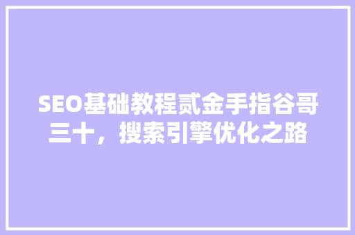 SEO基础教程贰金手指谷哥三十，搜索引擎优化之路