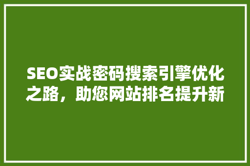 SEO实战密码搜索引擎优化之路，助您网站排名提升新高度