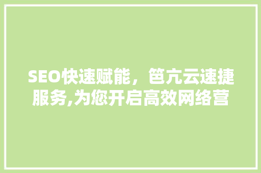 SEO快速赋能，笆亢云速捷服务,为您开启高效网络营销新篇章