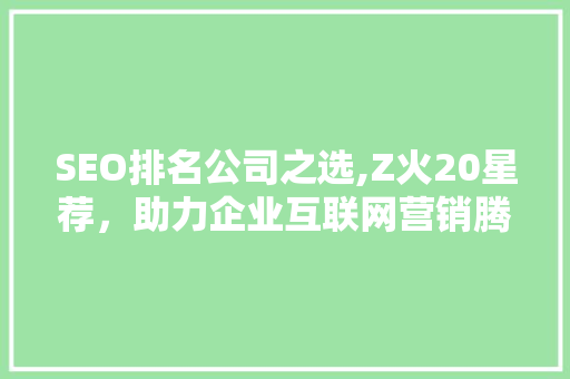 SEO排名公司之选,Z火20星荐，助力企业互联网营销腾飞