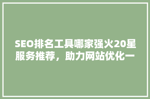 SEO排名工具哪家强火20星服务推荐，助力网站优化一路领先