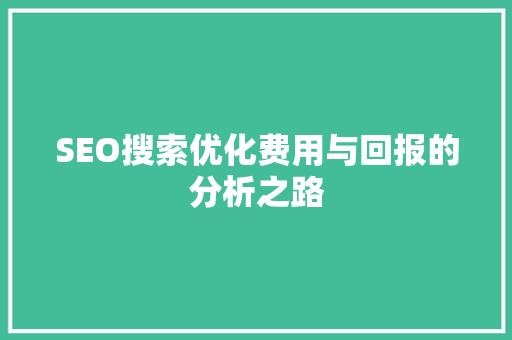 SEO搜索优化费用与回报的分析之路