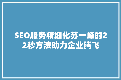 SEO服务精细化苏一峰的22秒方法助力企业腾飞