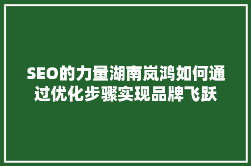 SEO的力量湖南岚鸿如何通过优化步骤实现品牌飞跃