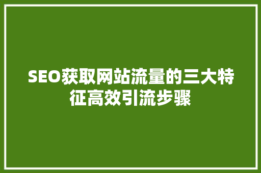 SEO获取网站流量的三大特征高效引流步骤