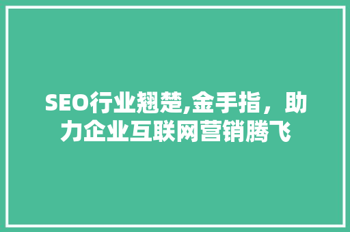 SEO行业翘楚,金手指，助力企业互联网营销腾飞