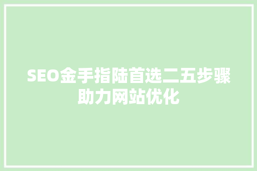 SEO金手指陆首选二五步骤助力网站优化