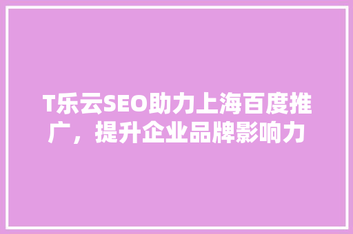 T乐云SEO助力上海百度推广，提升企业品牌影响力