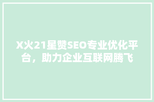 X火21星赞SEO专业优化平台，助力企业互联网腾飞