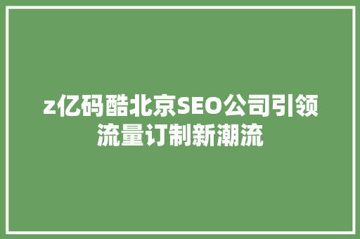 z亿码酷北京SEO公司引领流量订制新潮流