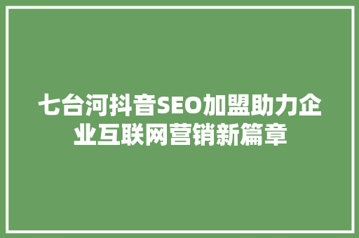 七台河抖音SEO加盟助力企业互联网营销新篇章
