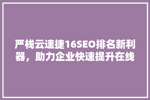 严栈云速捷16SEO排名新利器，助力企业快速提升在线知名度