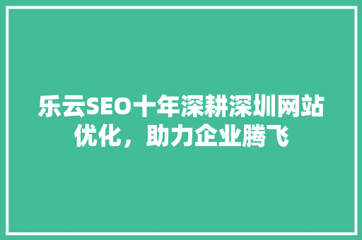 乐云SEO十年深耕深圳网站优化，助力企业腾飞