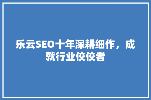 乐云SEO十年深耕细作，成就行业佼佼者