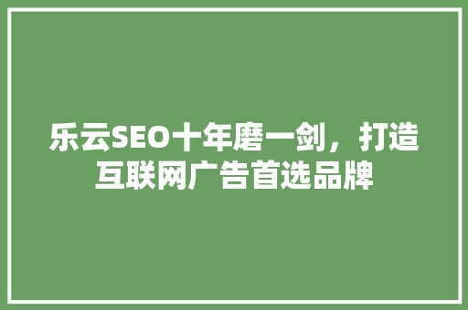 乐云SEO十年磨一剑，打造互联网广告首选品牌