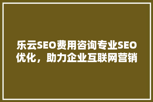 乐云SEO费用咨询专业SEO优化，助力企业互联网营销腾飞