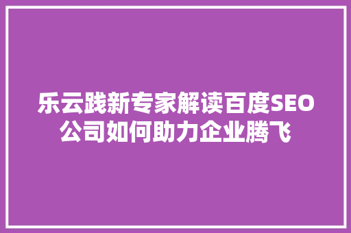 乐云践新专家解读百度SEO公司如何助力企业腾飞
