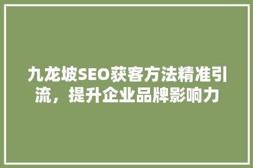 九龙坡SEO获客方法精准引流，提升企业品牌影响力