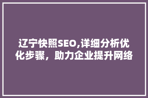 辽宁快照SEO,详细分析优化步骤，助力企业提升网络曝光度