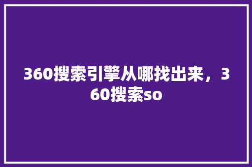 360搜索引擎从哪找出来，360搜索so