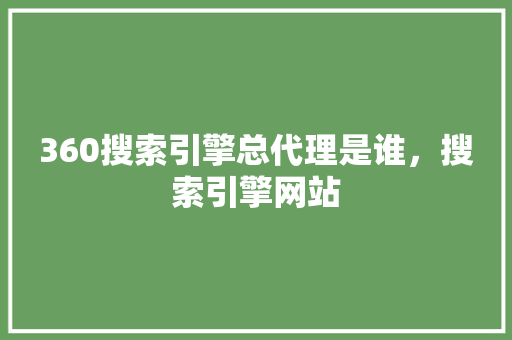 360搜索引擎总代理是谁，搜索引擎网站