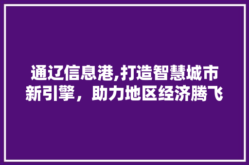 通辽信息港,打造智慧城市新引擎，助力地区经济腾飞