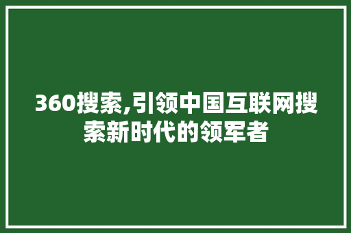 360搜索,引领中国互联网搜索新时代的领军者