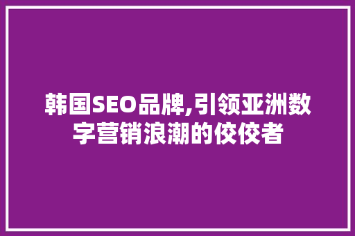 韩国SEO品牌,引领亚洲数字营销浪潮的佼佼者