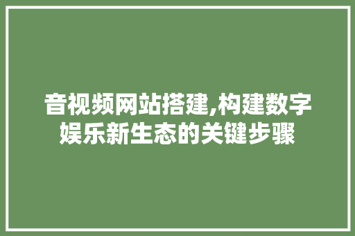 音视频网站搭建,构建数字娱乐新生态的关键步骤