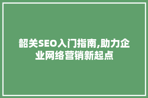 韶关SEO入门指南,助力企业网络营销新起点