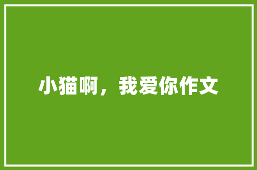 B站A8直播,探寻二次元文化的新风口 B站A8直播,探寻二次元文化的新风口 WordPress教程