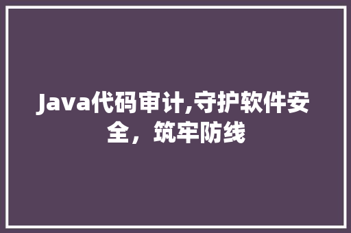 Java代码审计,守护软件安全，筑牢防线