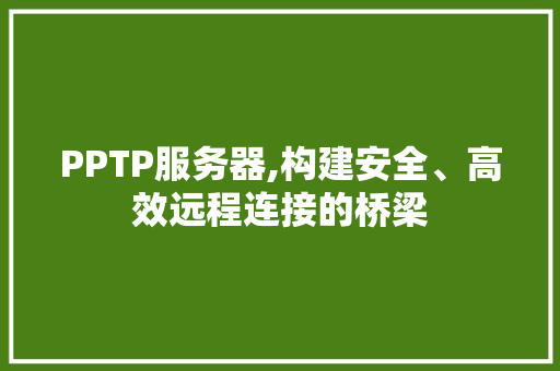 PPTP服务器,构建安全、高效远程连接的桥梁