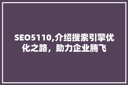 SEO5110,介绍搜索引擎优化之路，助力企业腾飞