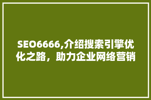 SEO6666,介绍搜索引擎优化之路，助力企业网络营销