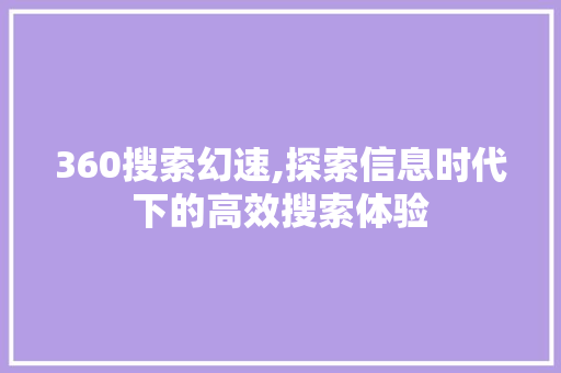 360搜索幻速,探索信息时代下的高效搜索体验