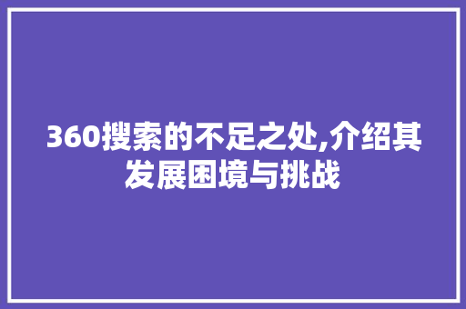 360搜索的不足之处,介绍其发展困境与挑战