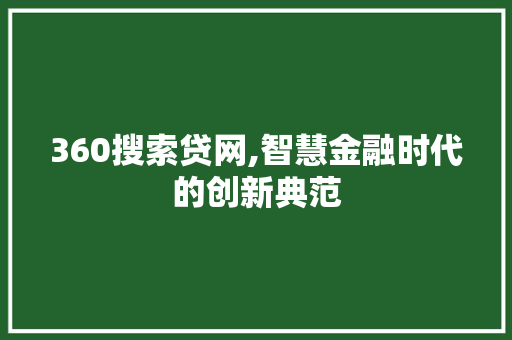 360搜索贷网,智慧金融时代的创新典范
