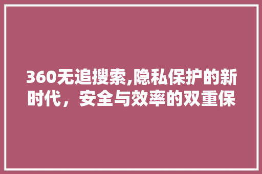 360无追搜索,隐私保护的新时代，安全与效率的双重保障