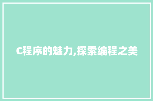 C程序的魅力,探索编程之美