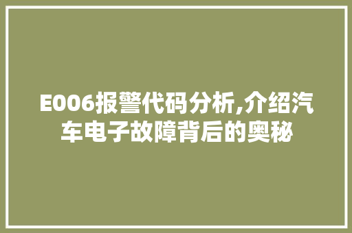 E006报警代码分析,介绍汽车电子故障背后的奥秘