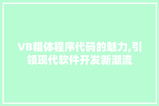 VB粗体程序代码的魅力,引领现代软件开发新潮流