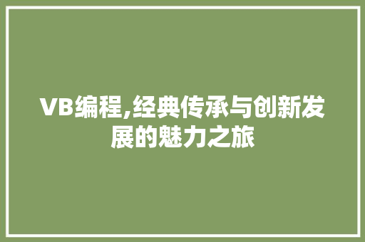 VB编程,经典传承与创新发展的魅力之旅