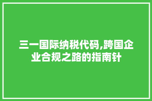 三一国际纳税代码,跨国企业合规之路的指南针