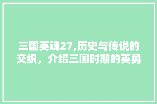 三国英魂27,历史与传说的交织，介绍三国时期的英勇壮举 三国英魂27,历史与传说的交织，介绍三国时期的英勇壮举 建站教程