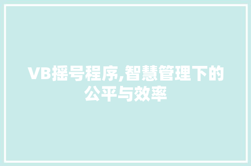 VB摇号程序,智慧管理下的公平与效率