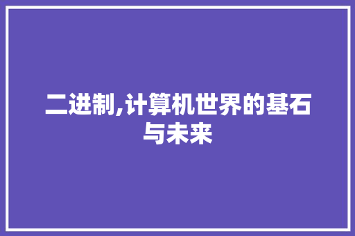 二进制,计算机世界的基石与未来 二进制,计算机世界的基石与未来 建站教程